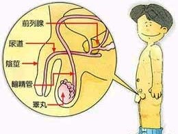 尿道炎