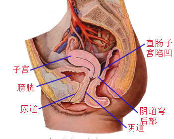尿道炎
