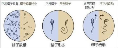 患少精症有什么危害?