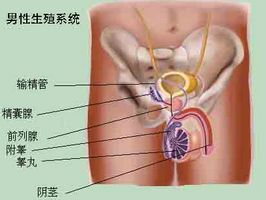 精囊炎不及时治疗会造成什么影响?