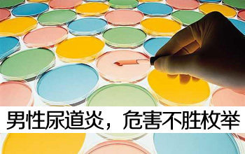 如何诊断是否感染非淋菌性尿道炎?